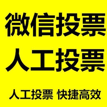 汉中市投票活动拉票能被查出来吗？如何操作能不被发现？